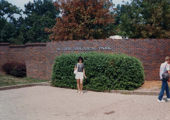 6120-stlouis-1987