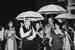 017-SJ1_0698-Edit