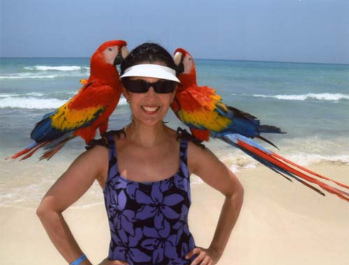Parrots